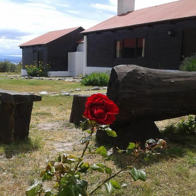 Estancia La Serena 佩里托莫雷诺 外观 照片