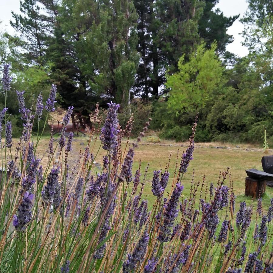 Estancia La Serena 佩里托莫雷诺 外观 照片