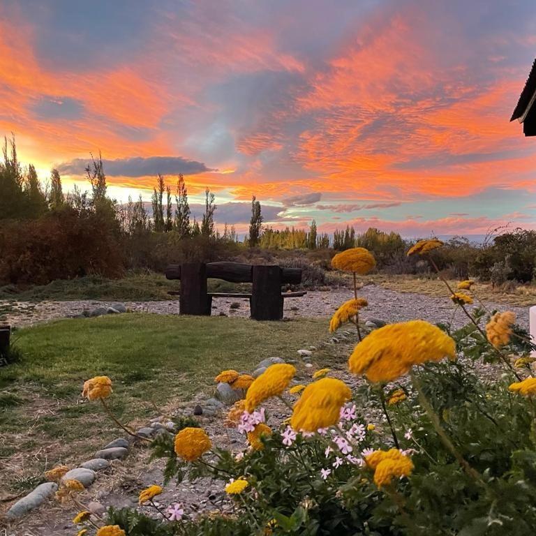 Estancia La Serena 佩里托莫雷诺 外观 照片