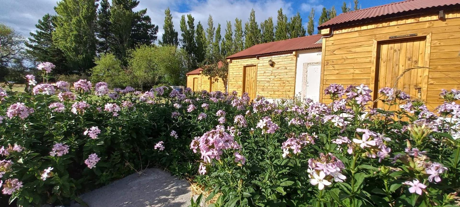 Estancia La Serena 佩里托莫雷诺 外观 照片