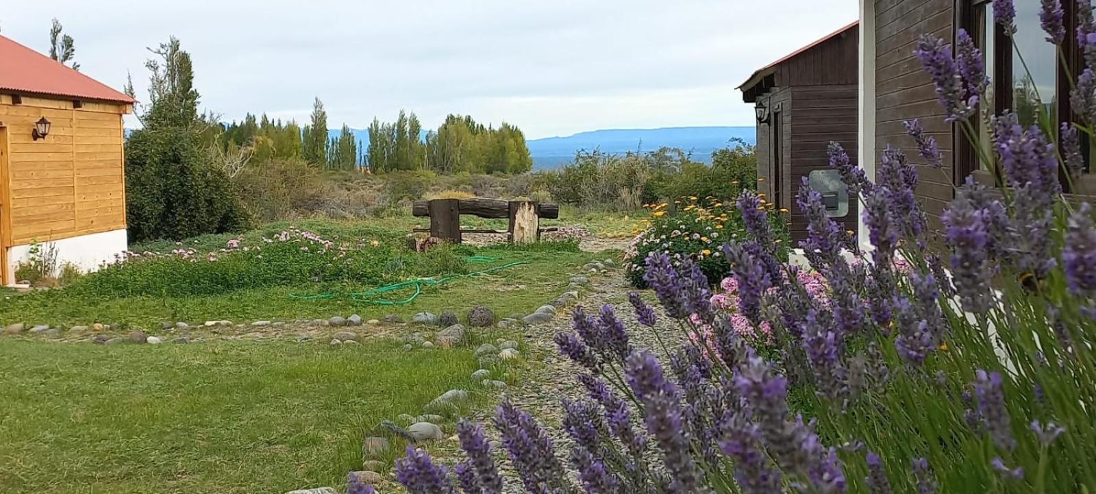 Estancia La Serena 佩里托莫雷诺 外观 照片